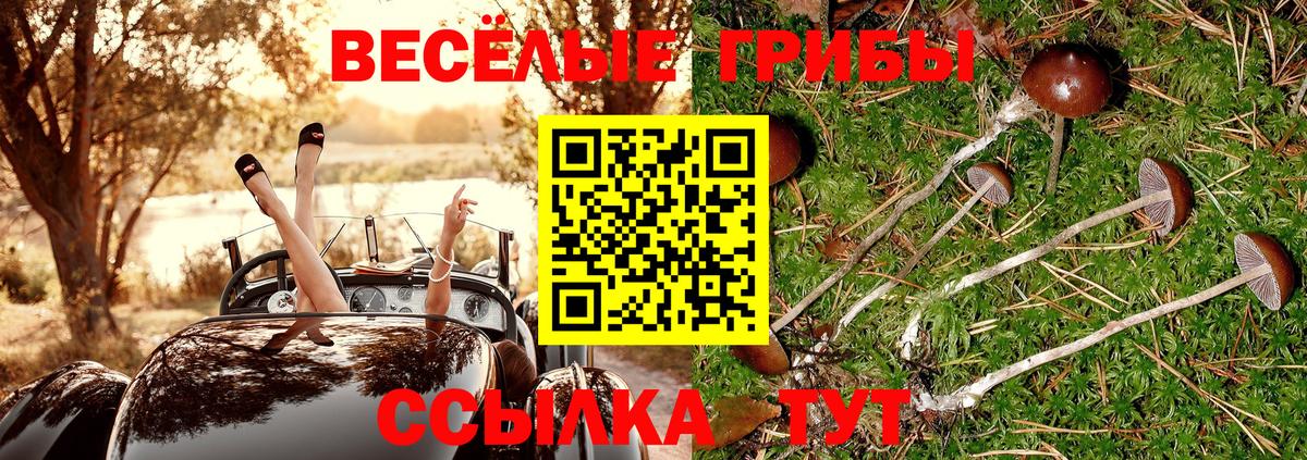 Псилоцибиновые грибы Magic Shrooms  Псилоцибиновые грибы Psilocybe  Вход с VPN  Елабуга 